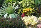 Argyle NSWplanting-garden-and-landscape-design-24.jpg; ?>