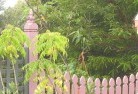Argyle NSWplants-57.jpg; ?>